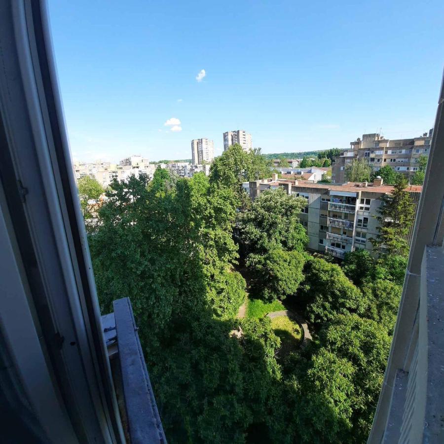 Blue Moon Apartment Нови Сад Екстериор снимка